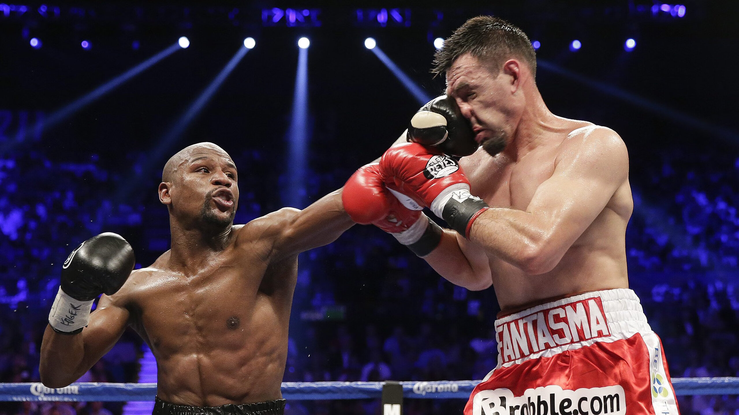 绿茵场上的鏖战，乒乓台前的高光—当德国战车遭遇葡萄牙航海家，樊振东的锋芒照亮赛场